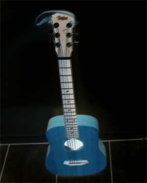 Taylor Guitar