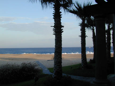 NICE_VIE