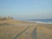 BEACHSHA
