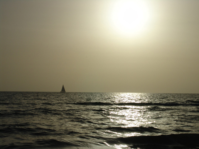 Sunset 98