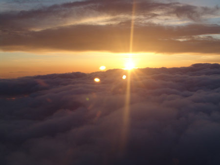Flight Home 06