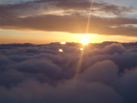 Flight Home 07