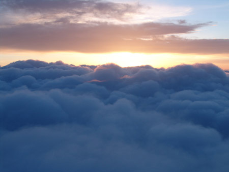 Flight Home 11