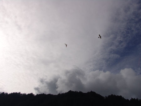 andie33 Over the mountain