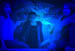 Blue Girls