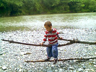 Kayden log horse