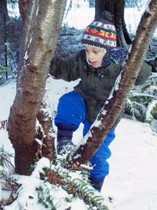 Child playing in the snow