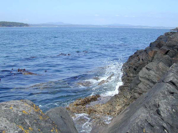Waves Cove