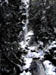97 Snowwater