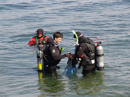 Dive buddies