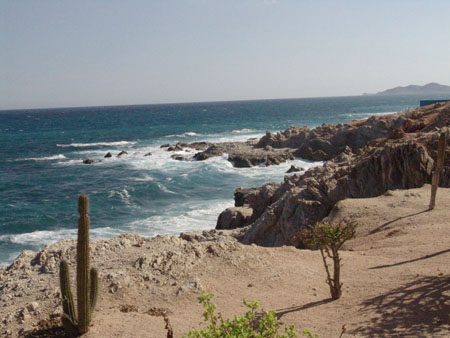 coast951