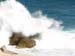 waveblast943