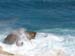 waveblast944