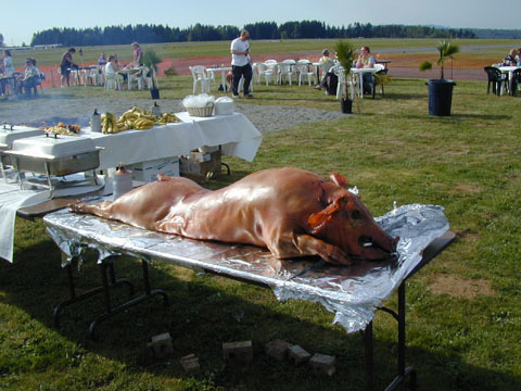 PIG7780