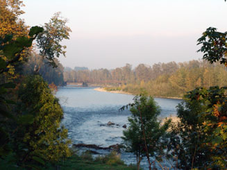 The river on a beautiful day