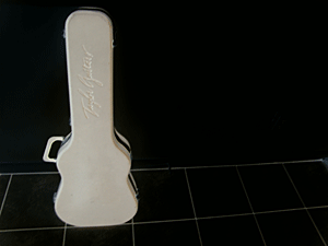 White Taylor Guitar Case