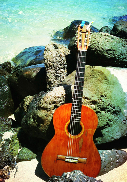 The Hernandez on the beach in Maui