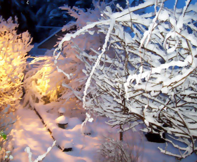 Frozen Wysteria