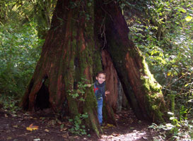 Kayden Wallace Falls