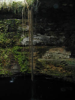 60cenote3