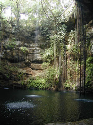 60opencenote