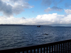 The docks of Coupeville after a nasty boat ride