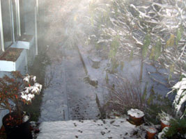 Snowy walkway winter in the country